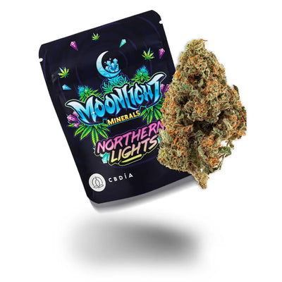 Northern Lights