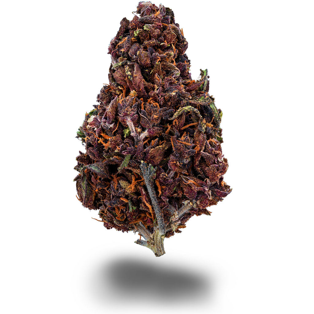 Purple Haze CBD Sorte