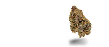 Harzige AK47 CBC-Blüte mit orangefarbenen Stempeln auf weißem Grund, AK-47 Strain