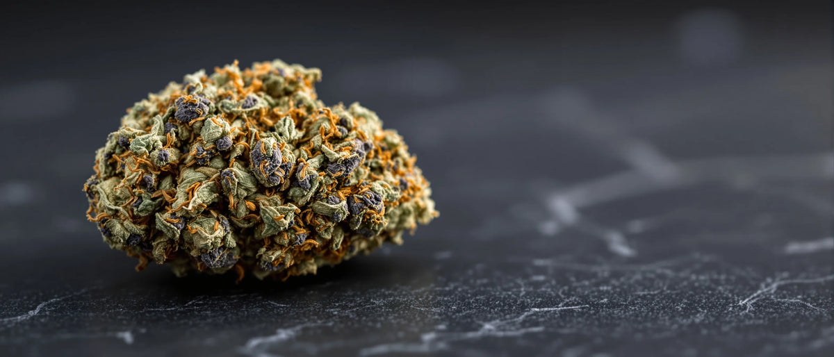 Blue Dream Strain: harzige Blüte mit hellgrünen und violetten Kelchblättern