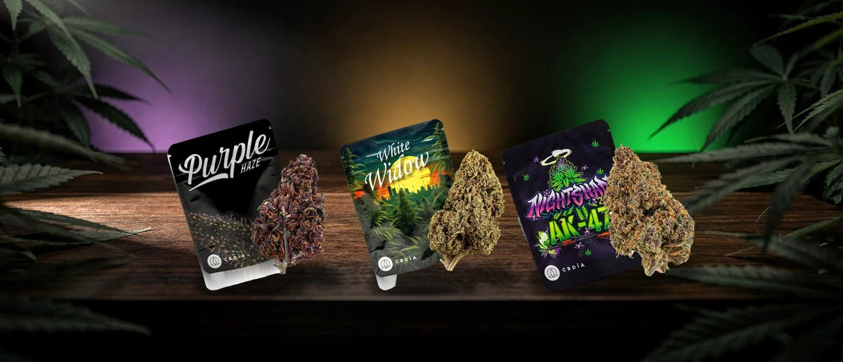 Drei Cannabis Sorten mit Beutel und Blüte: Purple Haze, White Widow und AK-47 auf dunklem Holztisch