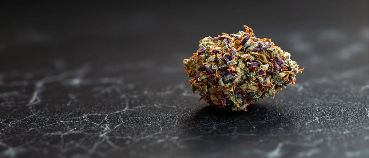 Purple Skunk Strain: violett-grüne Blüte mit orangen Härchen auf dunklem Marmor