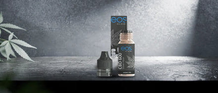 CBD-Liquid mit Silver-Haze-Aroma und Faltschachtel auf Beton in kühlem Silberlicht, Silver Haze