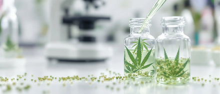 THC Messgerät und Laboranalyse: Glasfläschchen mit Hanfextrakt und Pipette vor einem Mikroskop