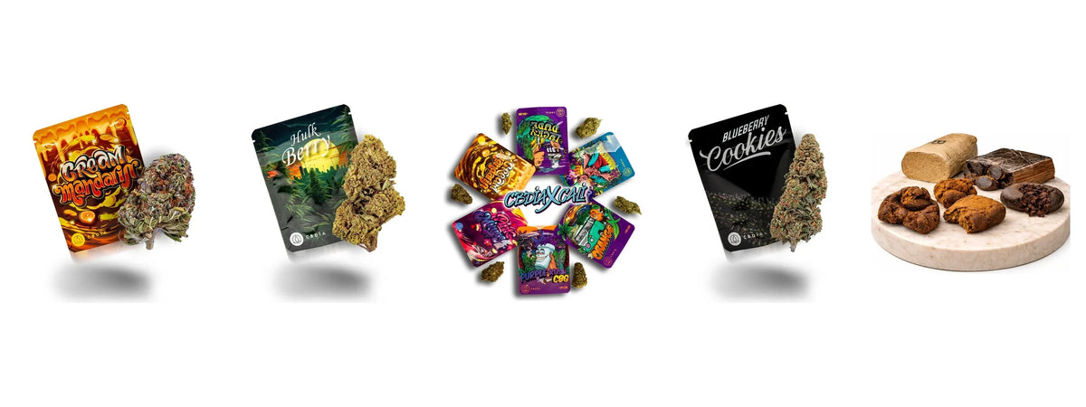 Bestseller von CBDÍA: Cream Mandarin, Hulkberry, Cali Probierpaket, Blueberry Cookies und Hasch Probierpaket