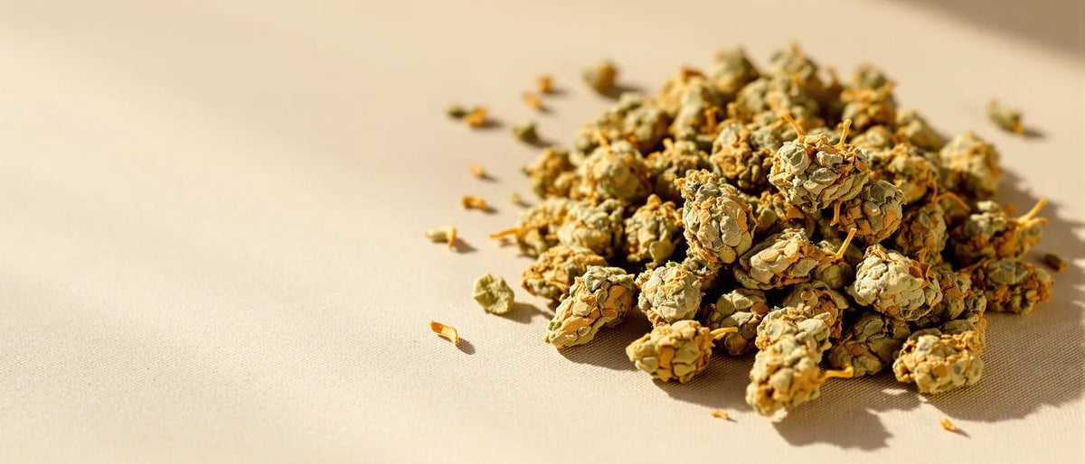 Haufen getrockneter CBD Blüten auf hellem Leinen