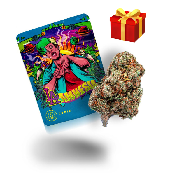 8g Free CBD Flower Sample Pack