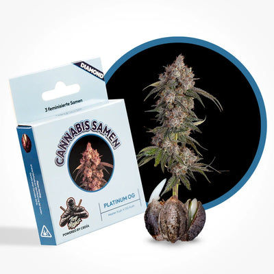 Platinum OG Seeds Feminized