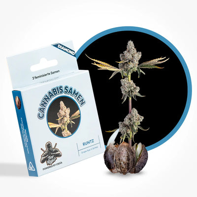 Runtz Seeds Feminized