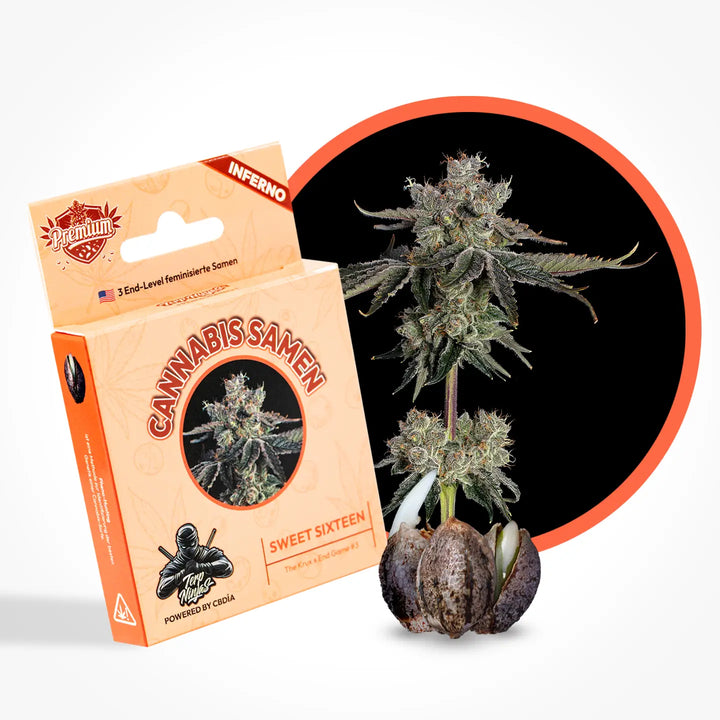 Eine Grafik zur Cannabis Sorte Sweet Sixteen