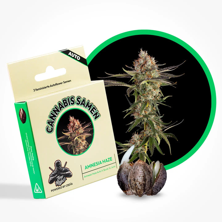 Eine Grafik zur Cannabis Sorte Amnesia Haze