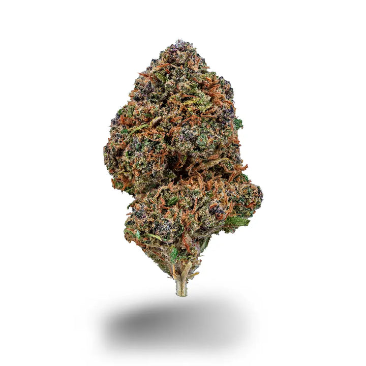 Eine Nahaufnahme der Sorte Frozen Vanilla