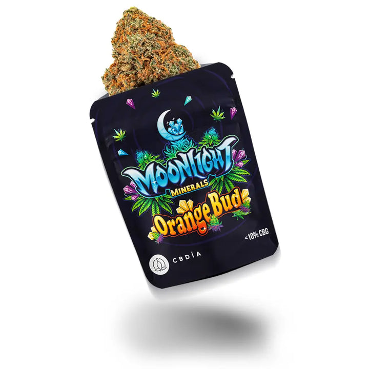 Eine Blüte in einer Verpackung von der Sorte Orange Bud