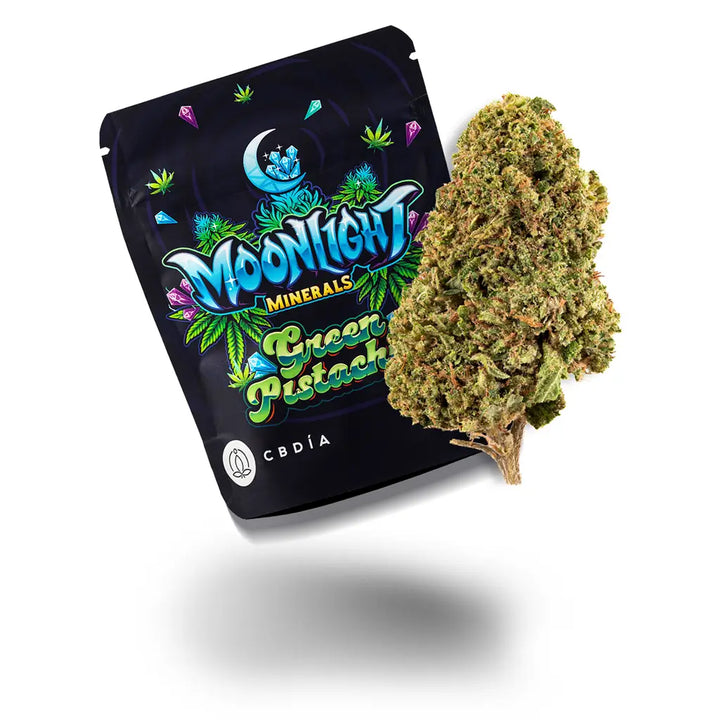 Eine schwebende Blüte von der Sorte Green Pistachio