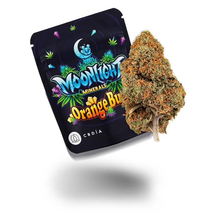 Eine schwebende Blüte von der Sorte Orange Bud