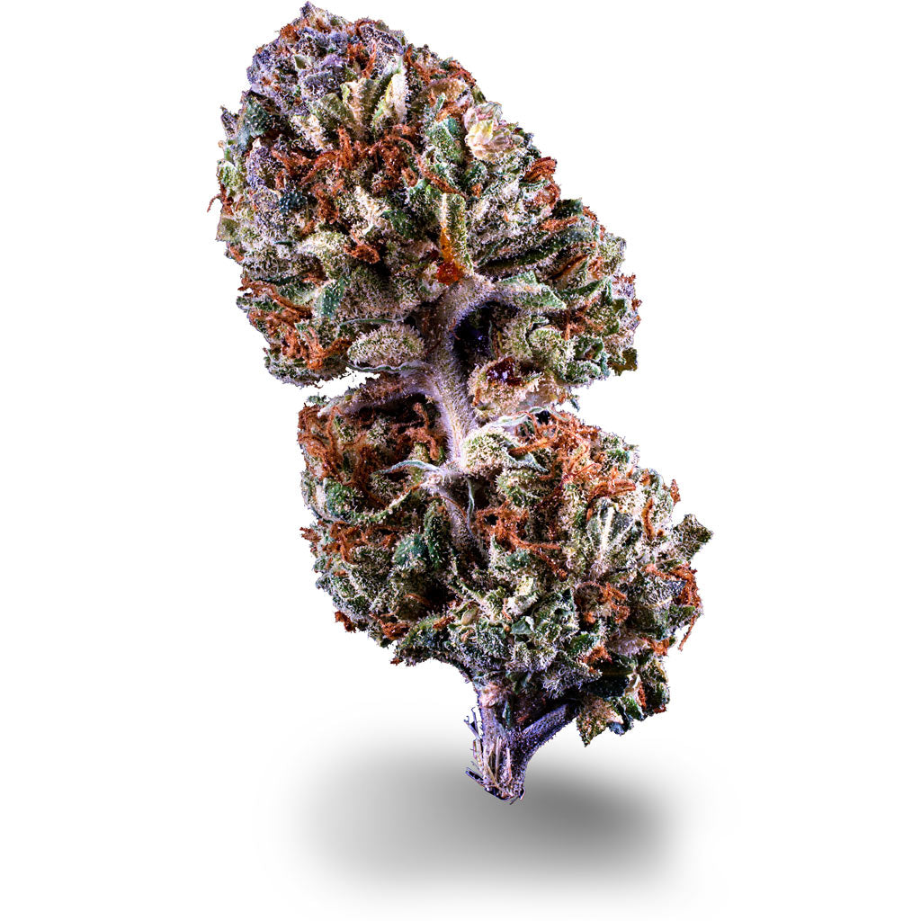 Orange X CBD Sorte