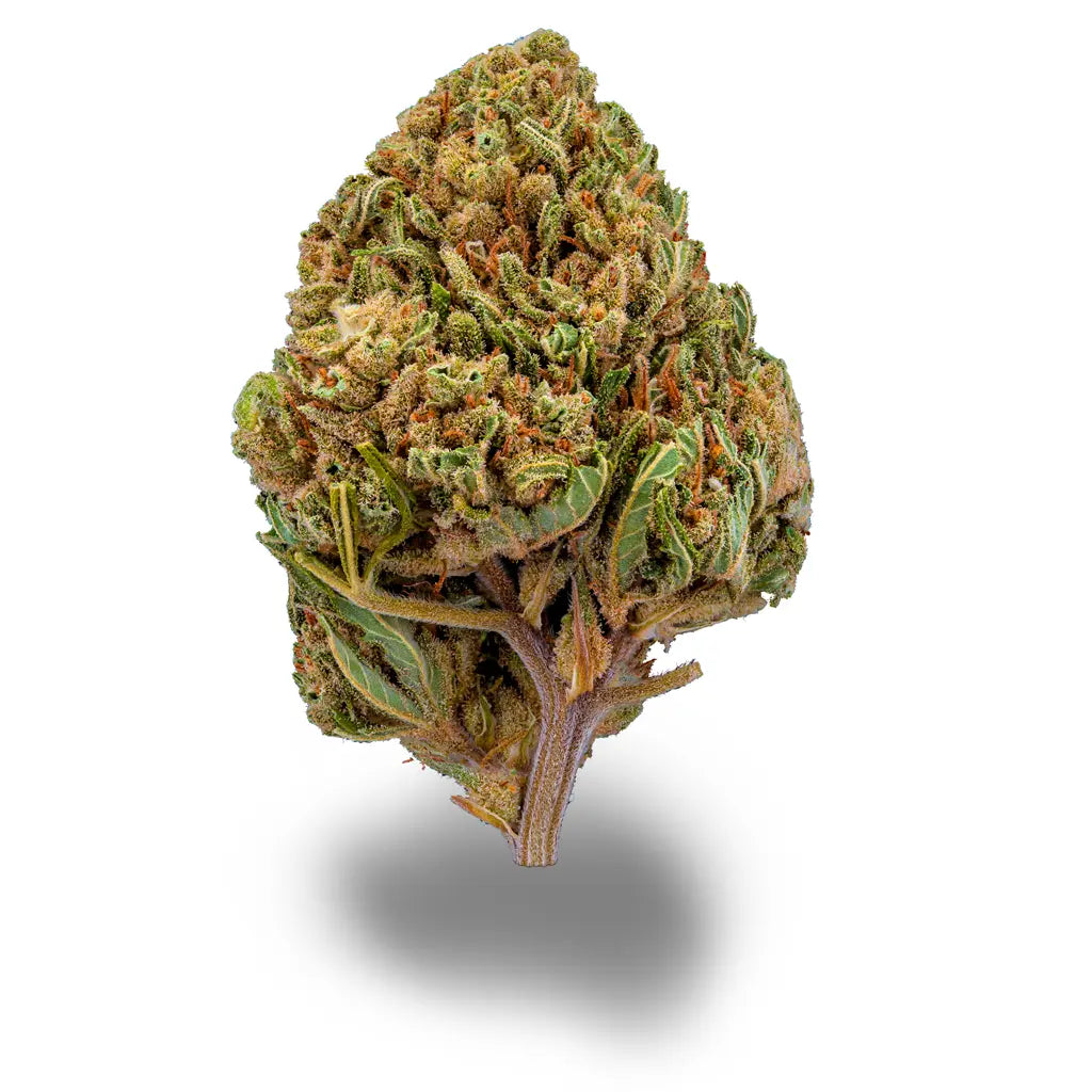 Sour Diesel CBD Sorte