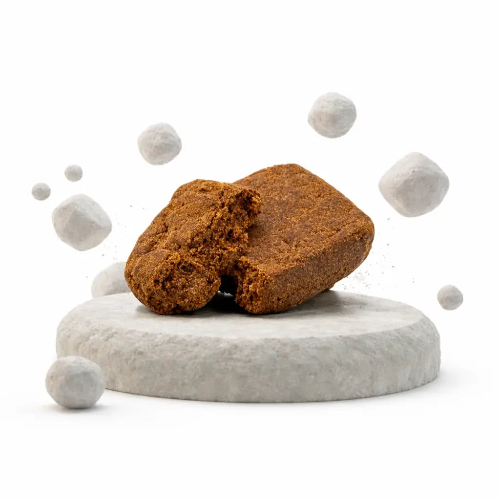 Hasch Sorte le Beldia auf einem Stein