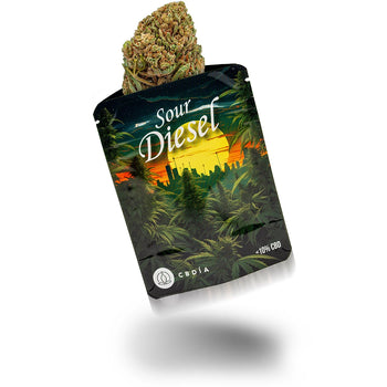 Sun Light X Selection Sorte Sour Diesel