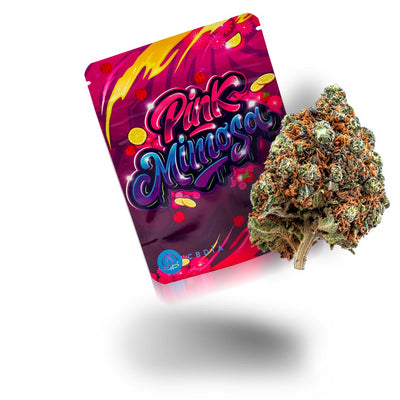Pink Mimosa