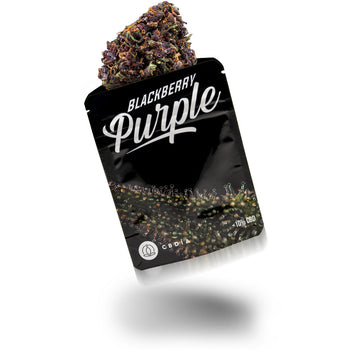 Buy cannabis in Ahrensburg Plan your dispensary visit Buy cannabis in Ahrensburg Plan your dispensary visit