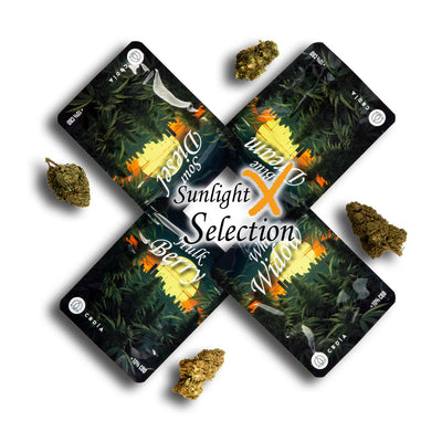 Sun Light X Selection Bundle