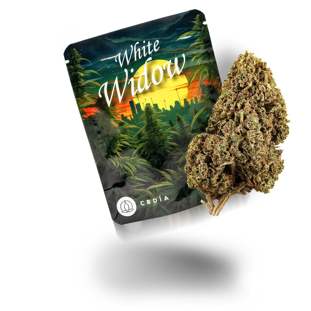 White Widow Blüten